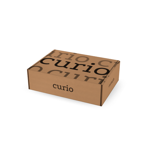Curio.ph - image 2 - student project