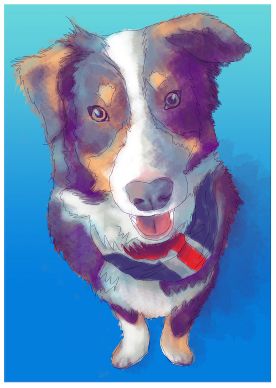 My Aussie Rollo - image 1 - student project