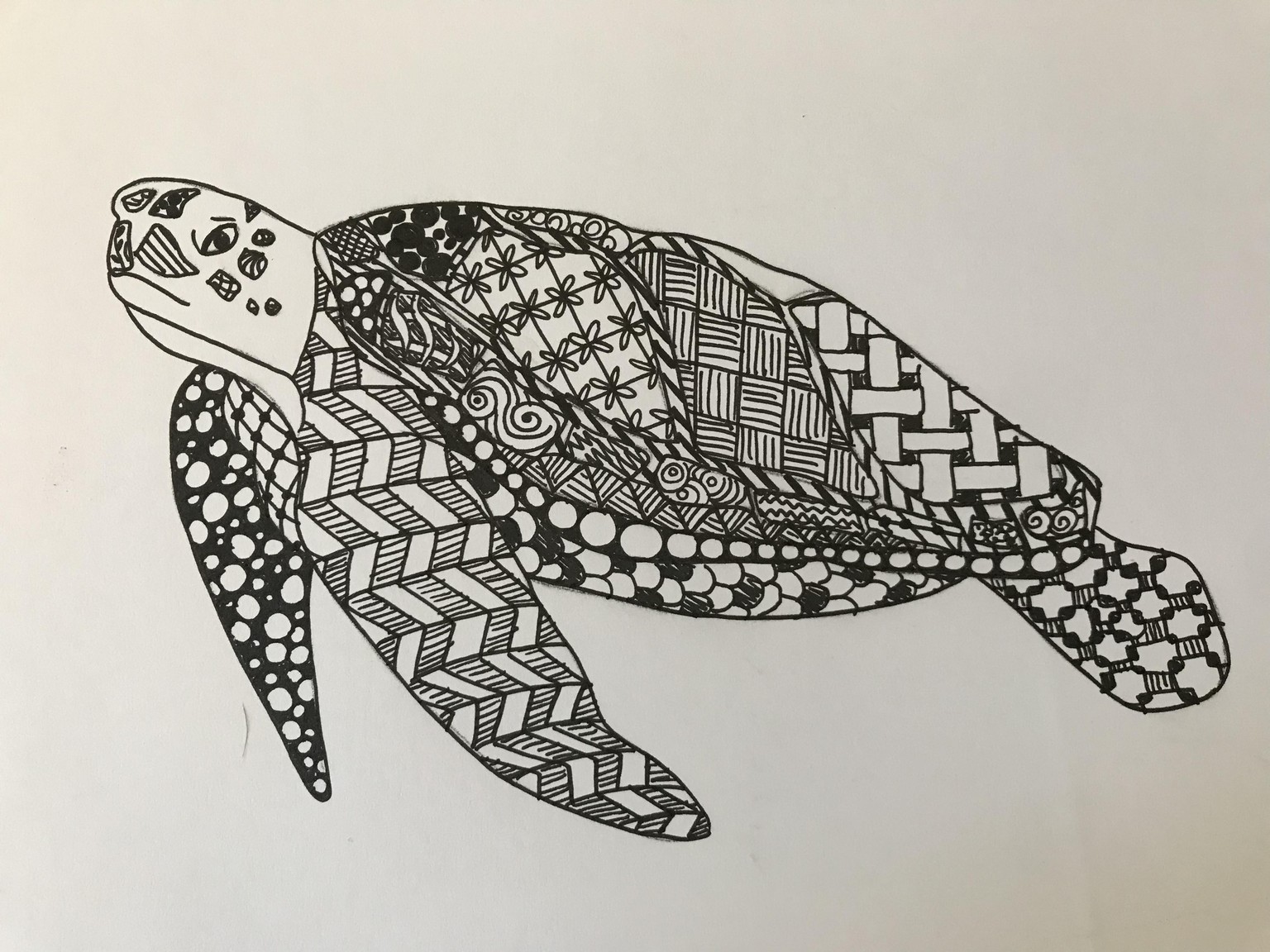 Zentangle - image 1 - student project