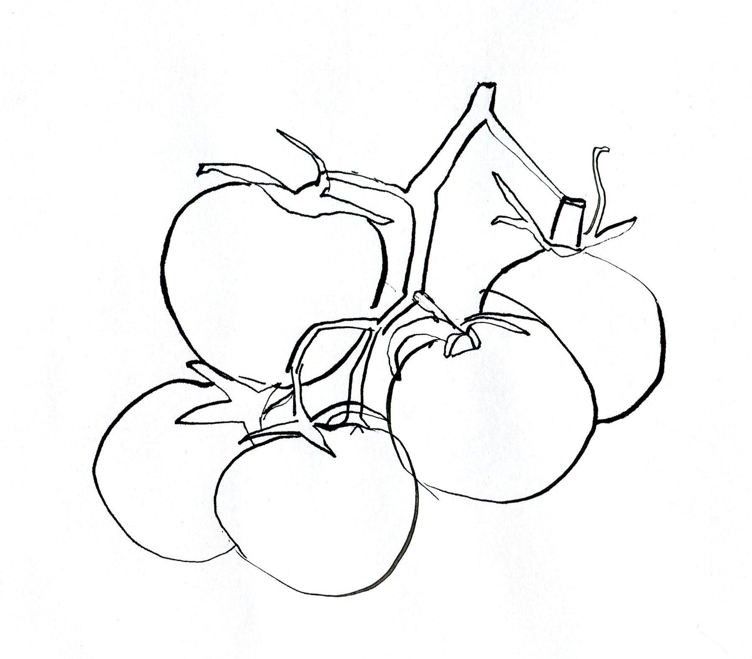 WIP: Loose Watercolor and Ink tomatoes - image 2 - student project