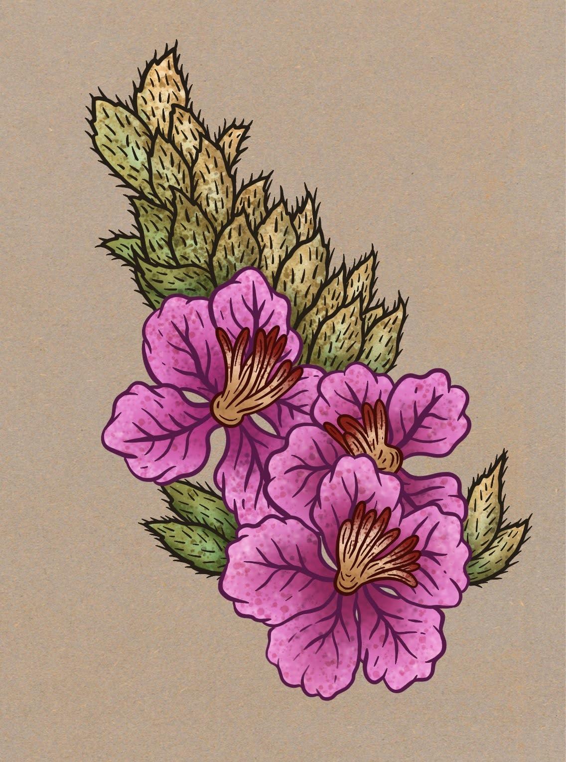 15 Painting Techniques in Procreate - image 6 - student project