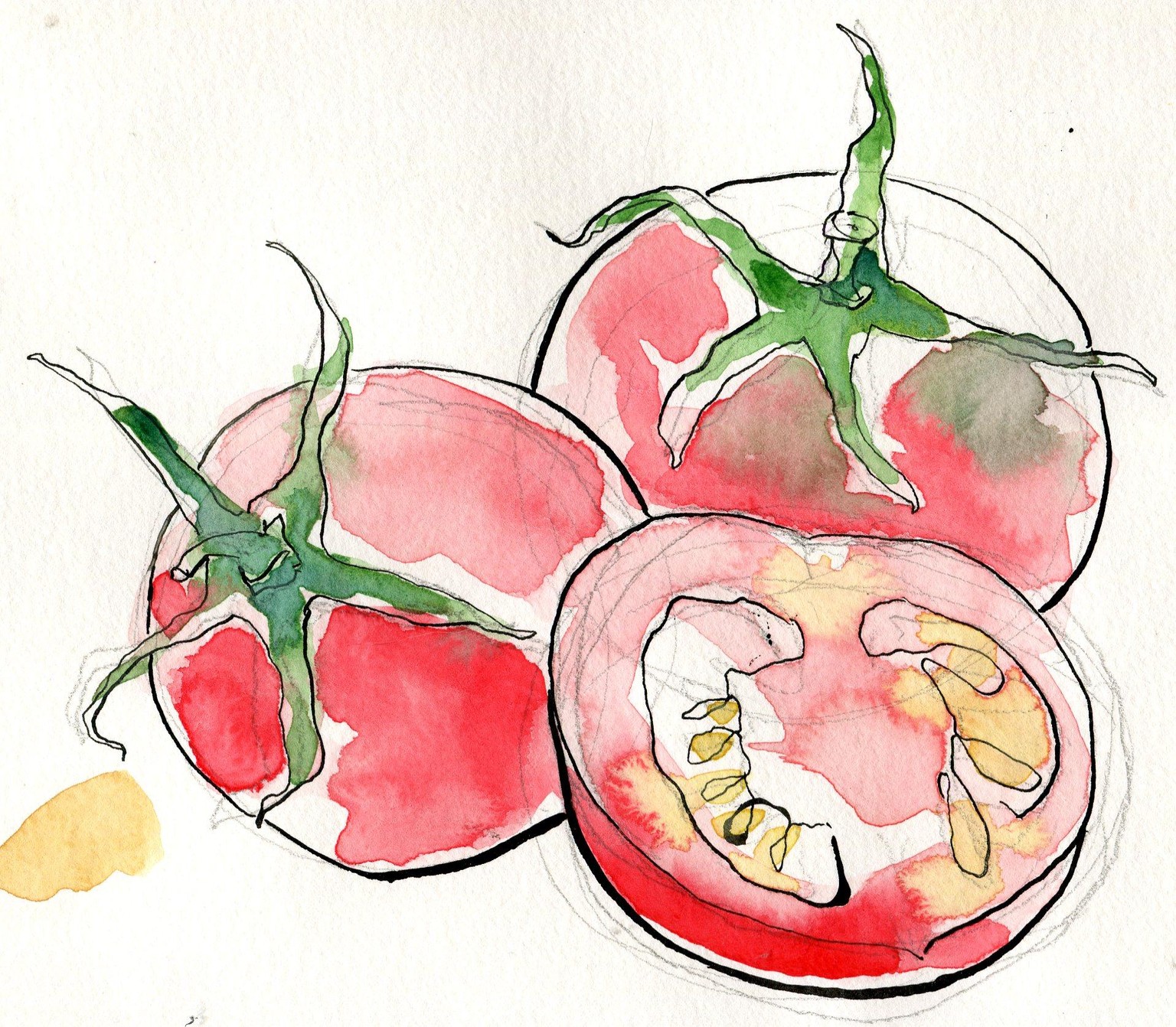 WIP: Loose Watercolor and Ink tomatoes - image 6 - student project