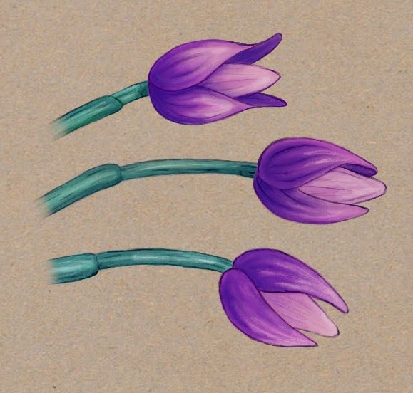 15 Painting Techniques in Procreate - image 18 - student project