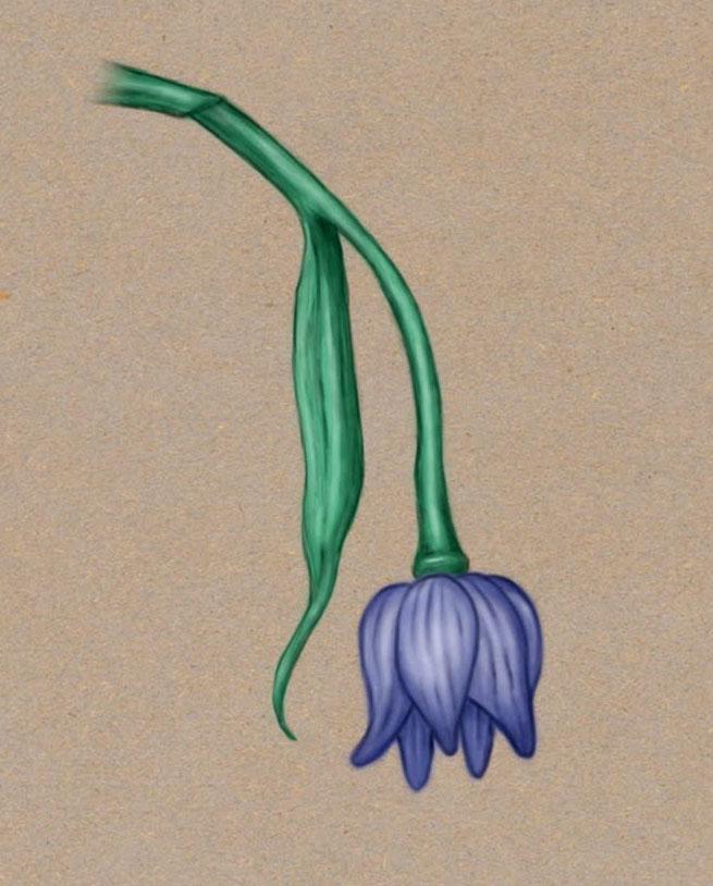 15 Painting Techniques in Procreate - image 14 - student project
