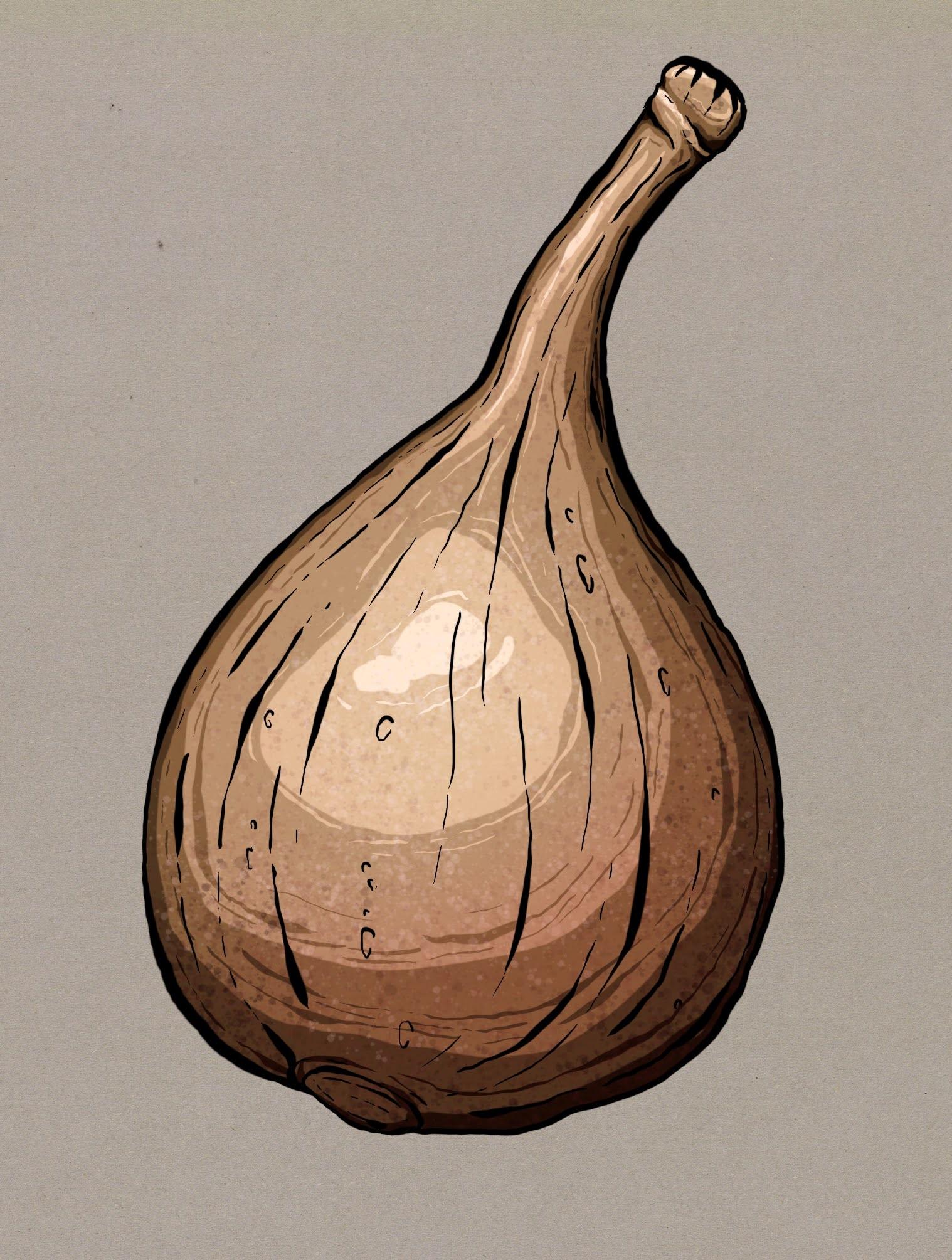 Procreate Inking and Shading Techniques - image 5 - student project