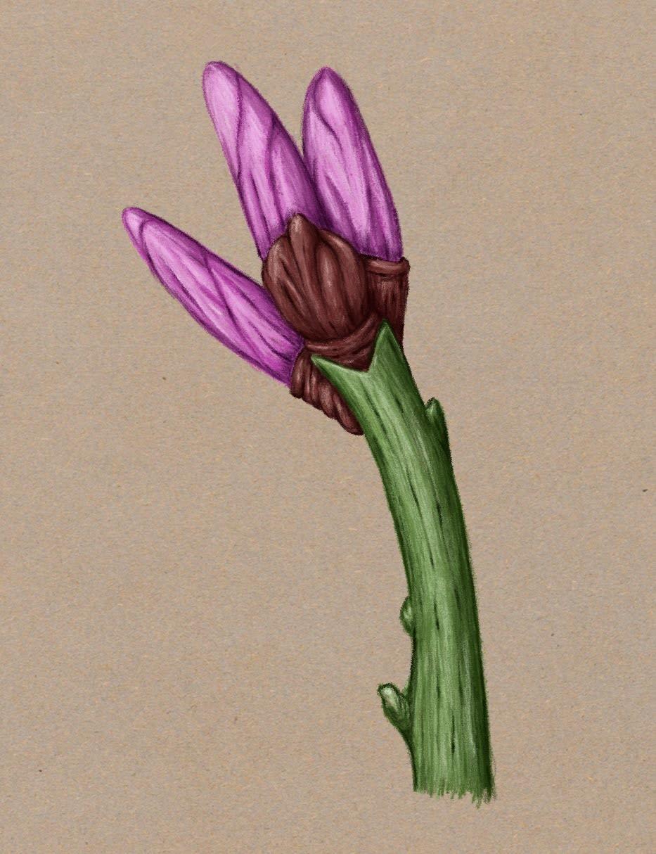 15 Painting Techniques in Procreate - image 10 - student project
