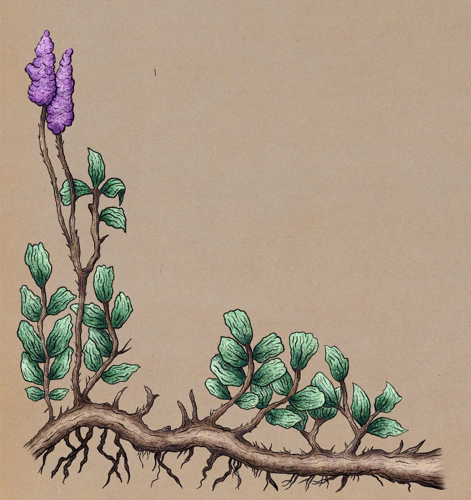 15 Painting Techniques in Procreate - image 13 - student project