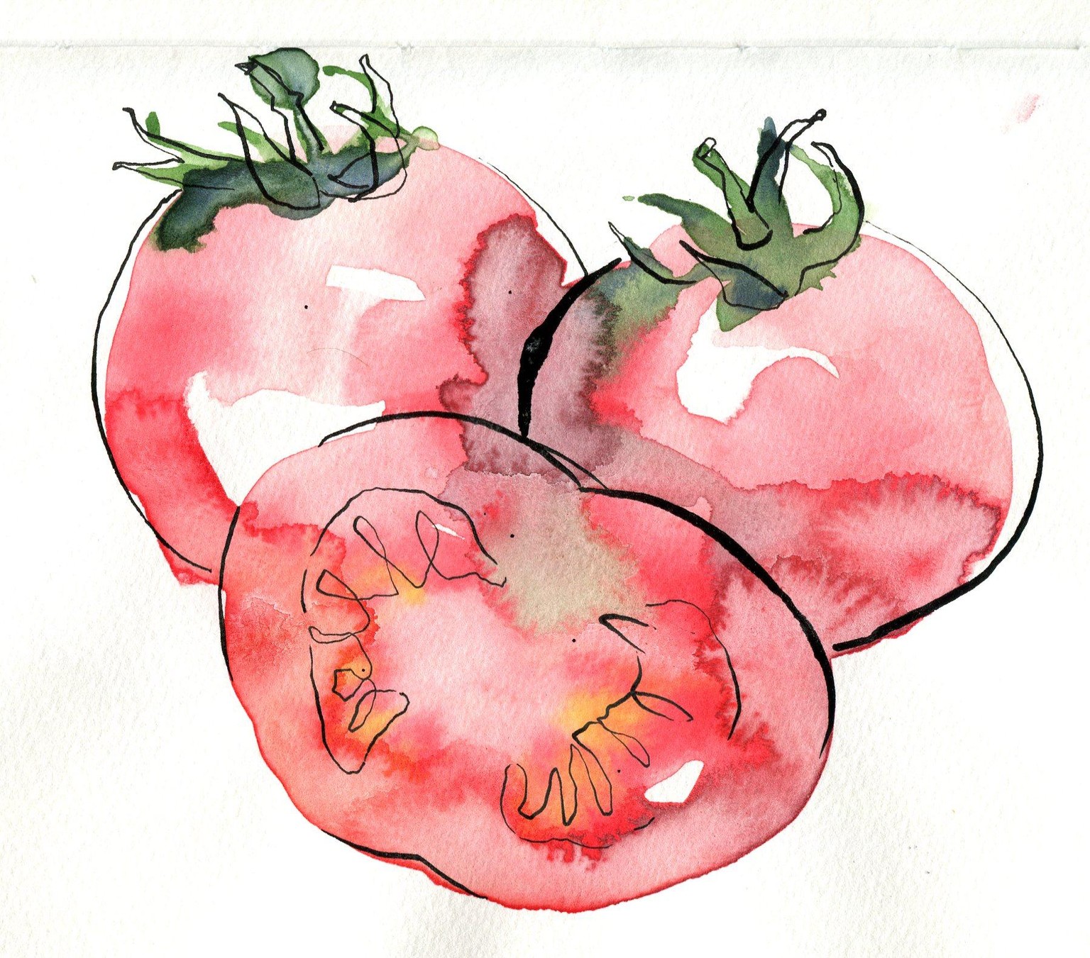 WIP: Loose Watercolor and Ink tomatoes - image 7 - student project