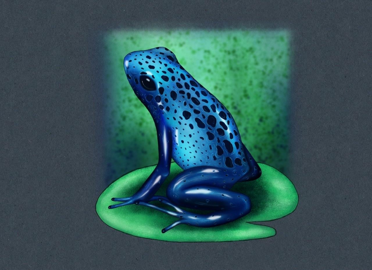 Frog in Procreate - image 1 - student project