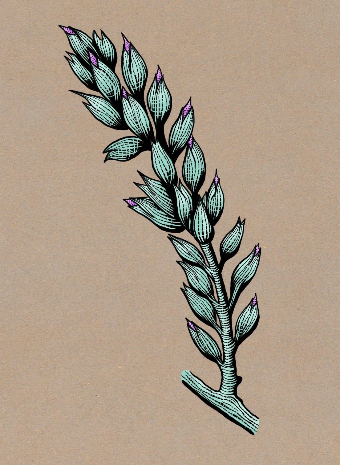 15 Painting Techniques in Procreate - image 11 - student project