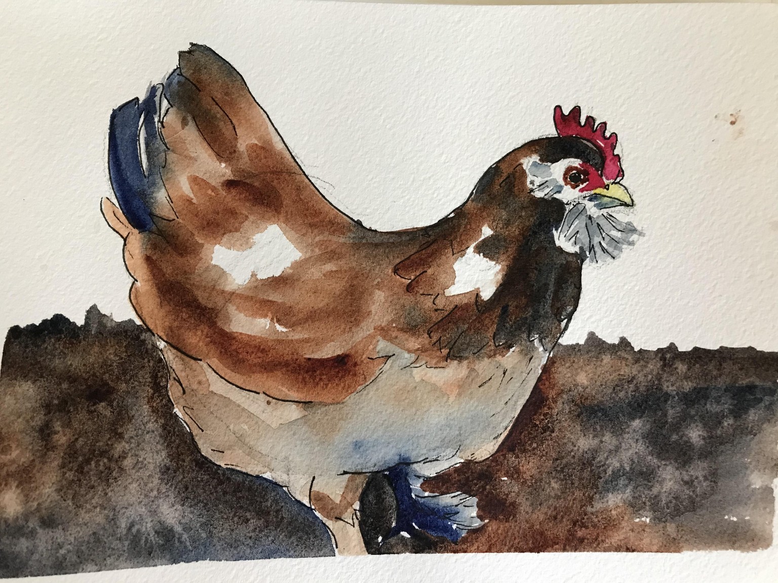Chicken and Bunny - image 1 - student project