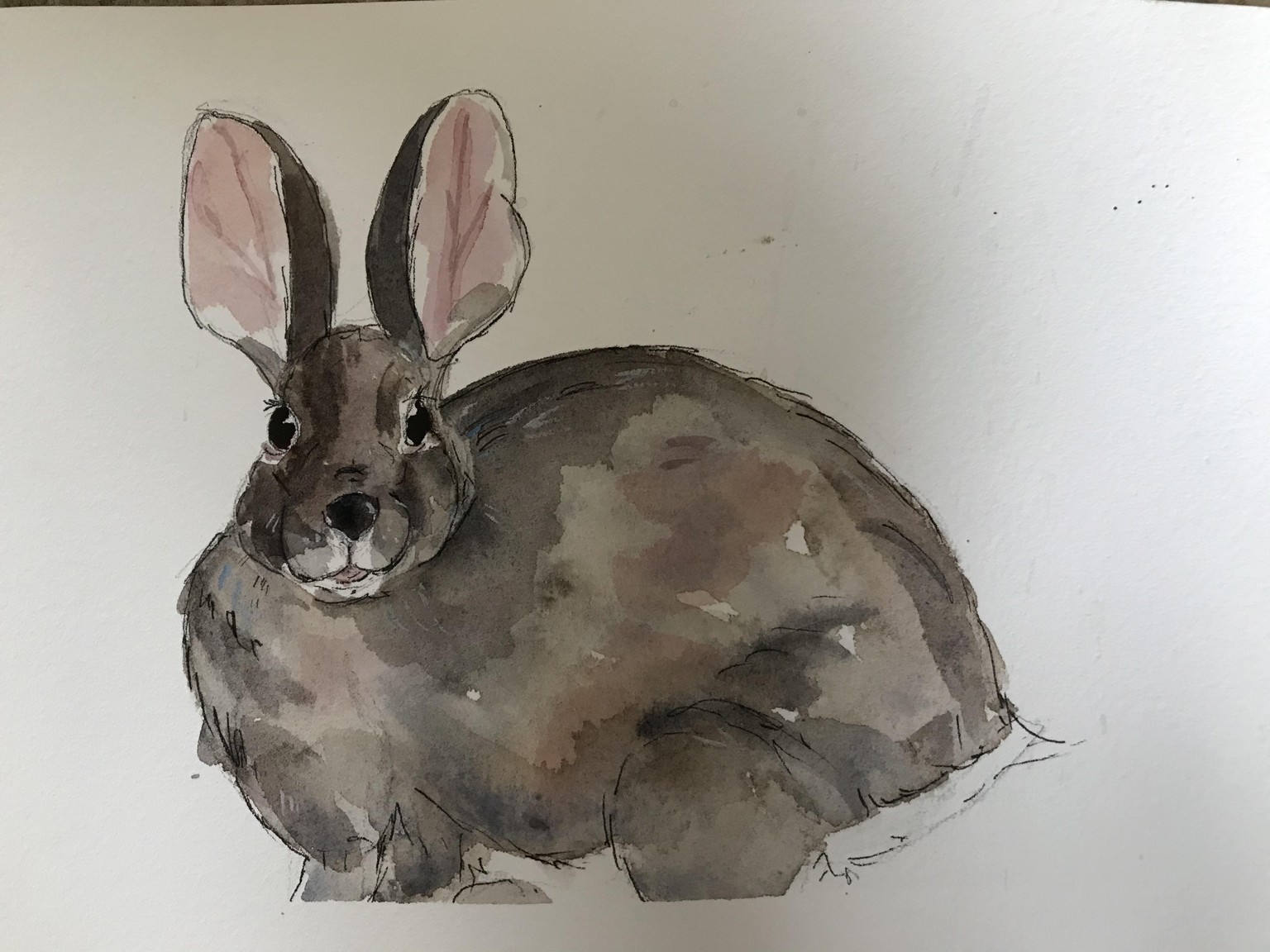 Chicken and Bunny - image 2 - student project