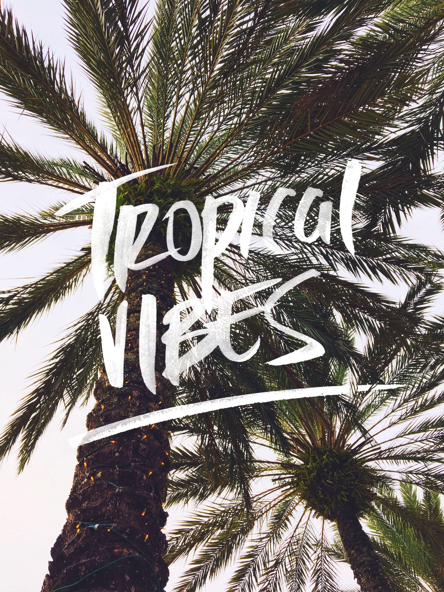 Tropical Vibes - image 1 - student project