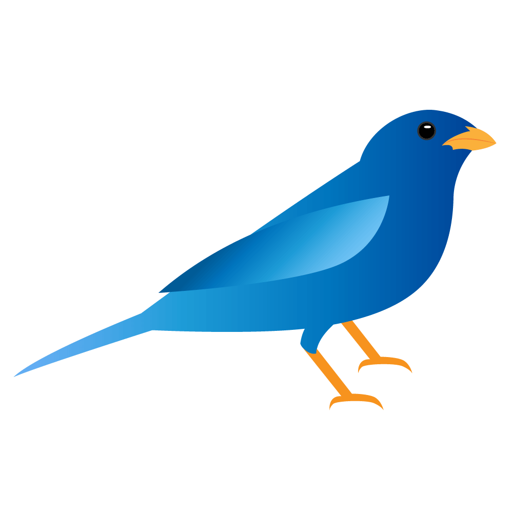 Blue Finch - image 1 - student project