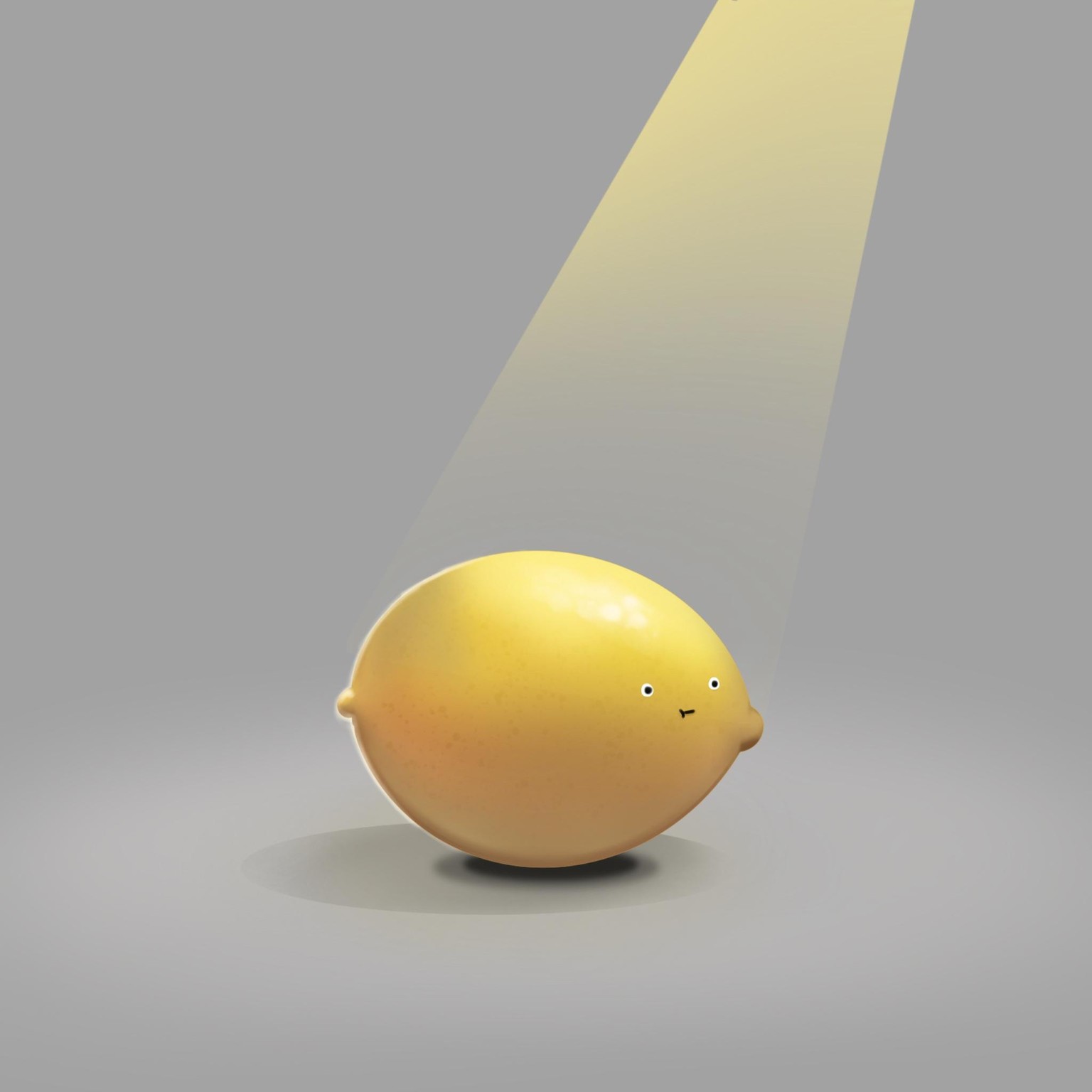 The lemon - image 1 - student project