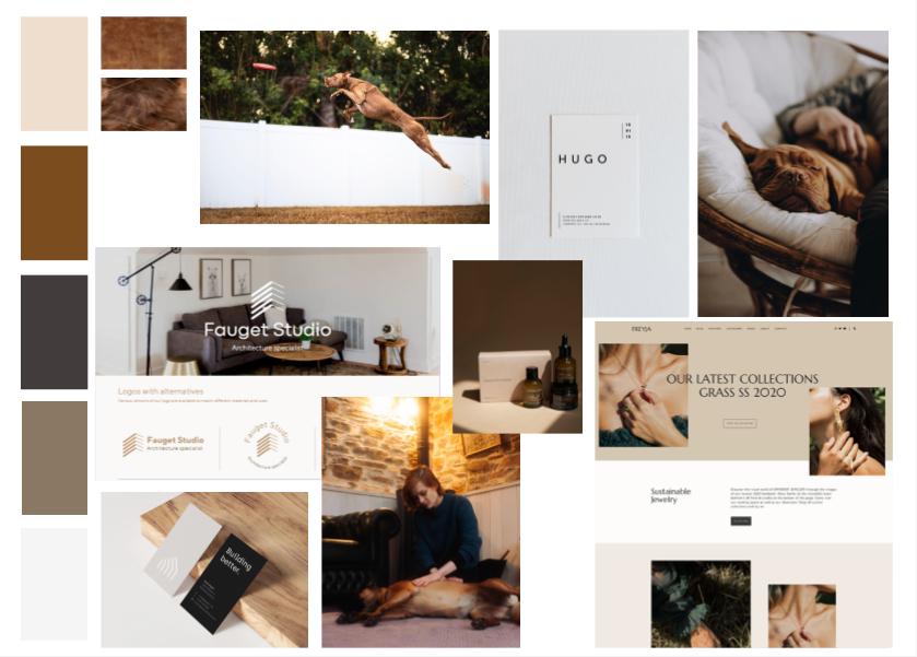 Animal Health - image 1 - student project