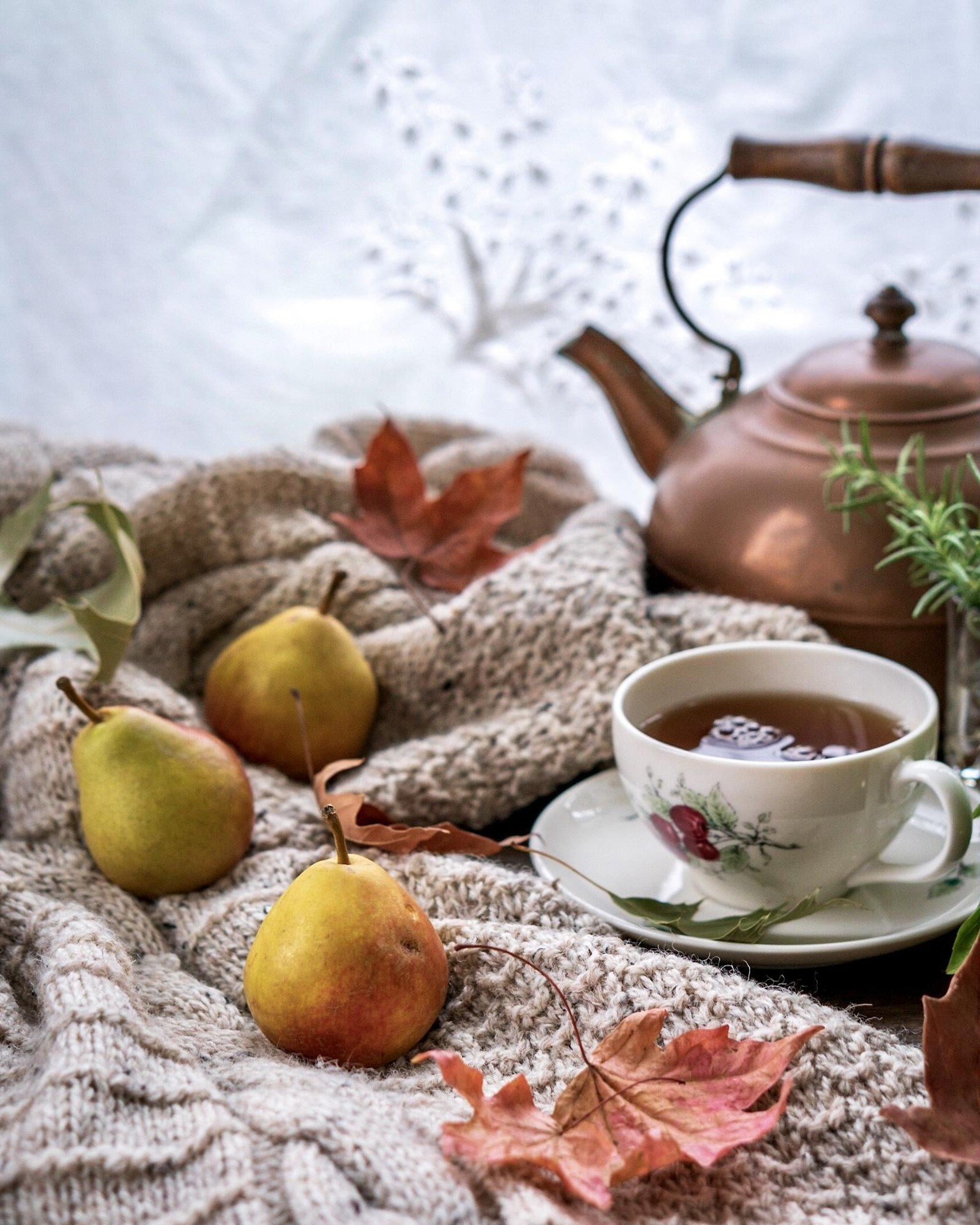 Cozy Coffee and Light & Airy Tea - image 2 - student project
