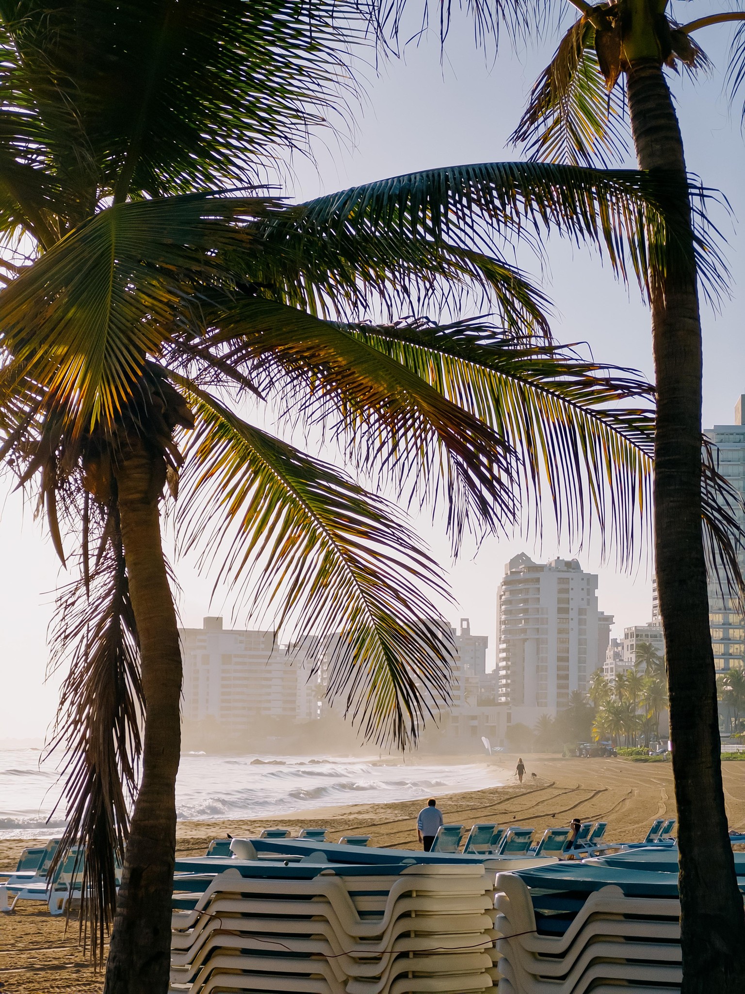 Sunny Morning Walk - image 1 - student project