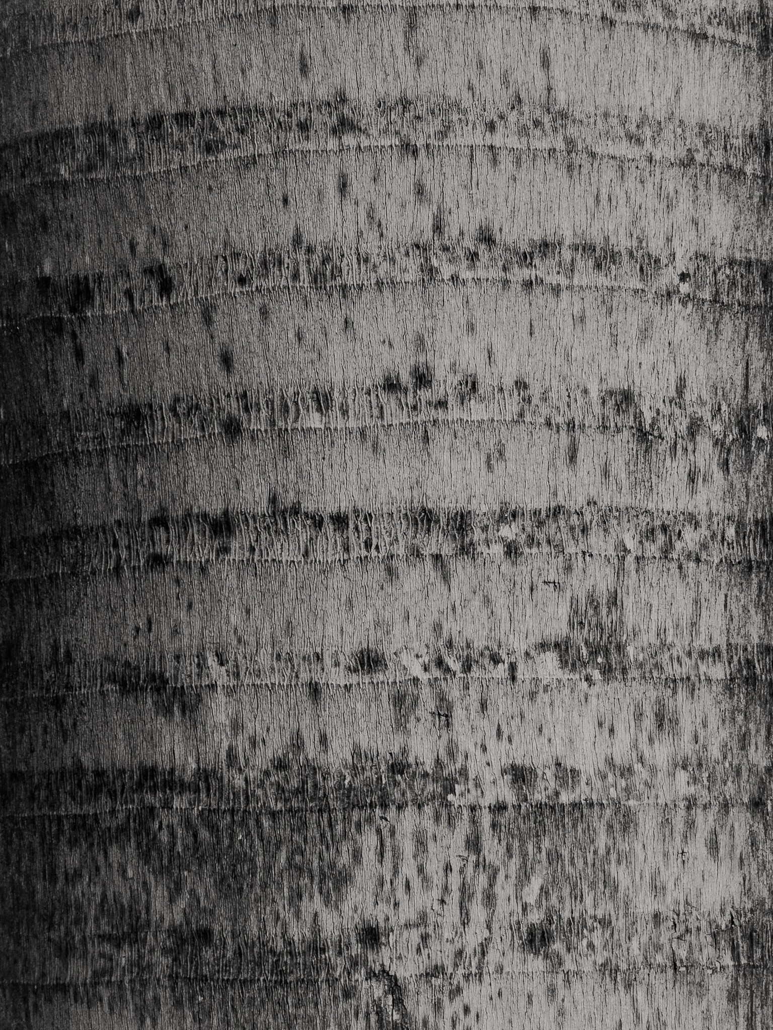Sunny Morning Walk - image 4 - student project