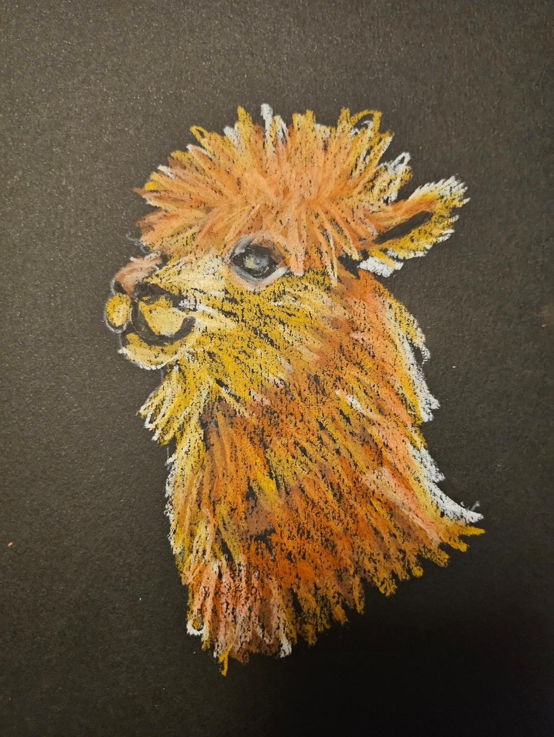 Animals in Oil Pastels - image 3 - student project