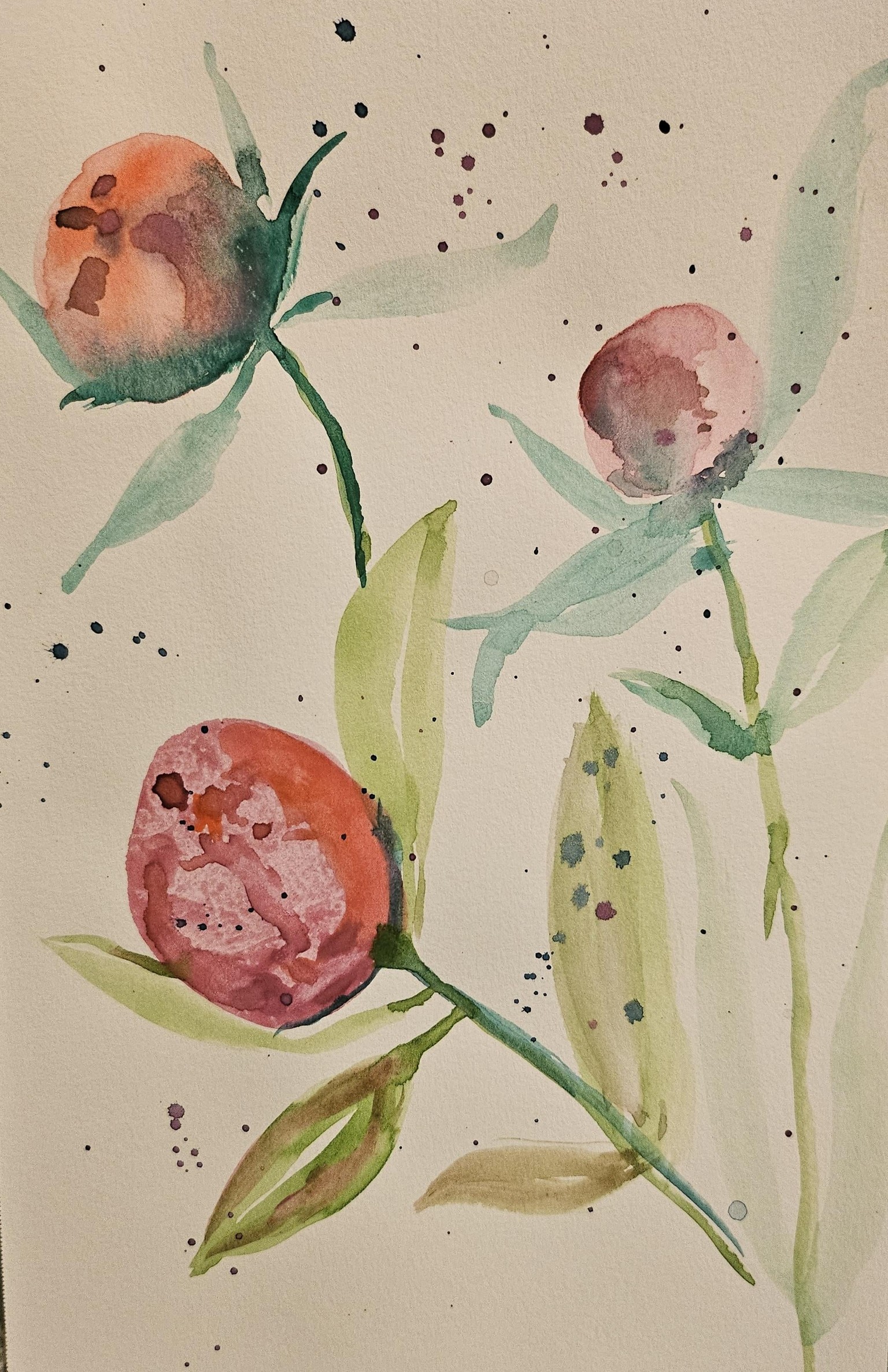 Tropical Paradise Challenge - image 3 - student project