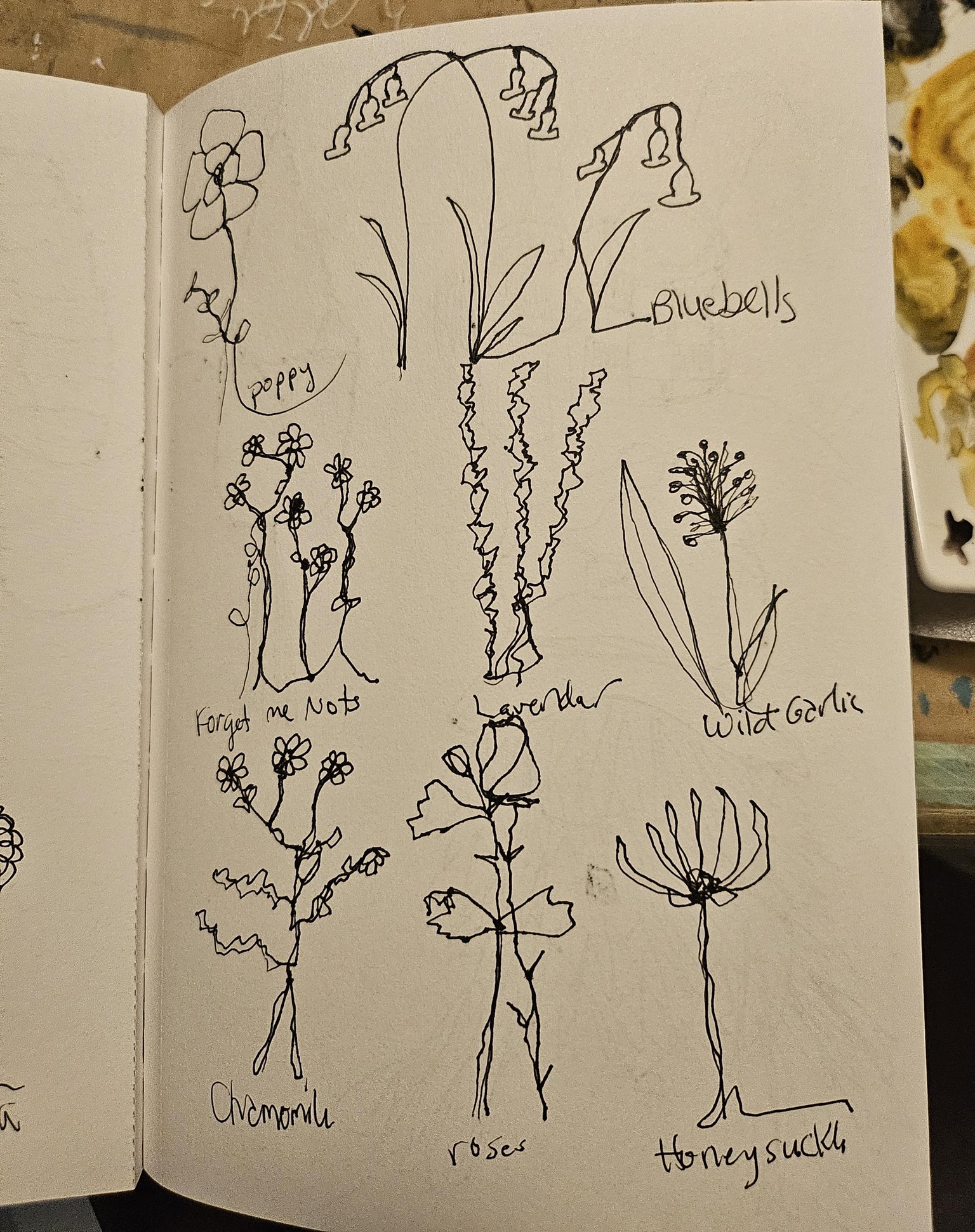 Doodley Doodles - image 1 - student project