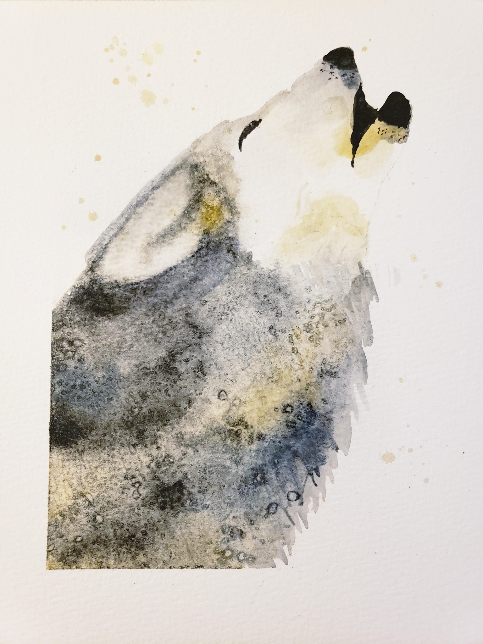 Howling Wolf - image 1 - student project