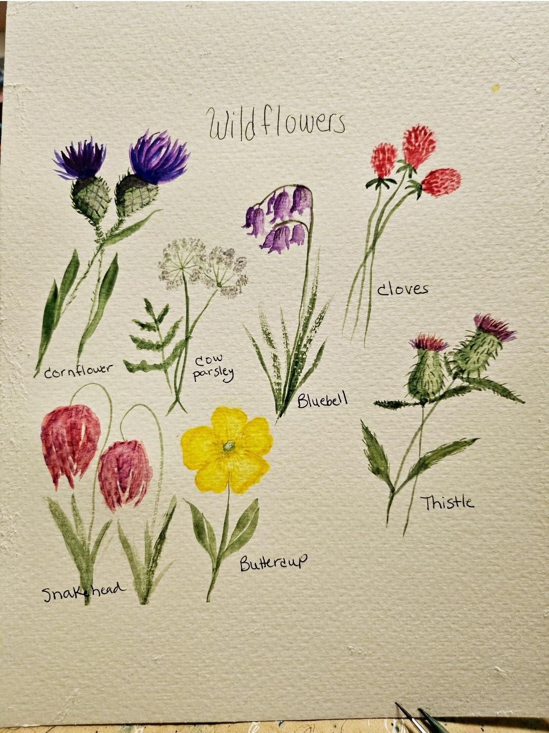 A Week of Wildflowers - image 1 - student project
