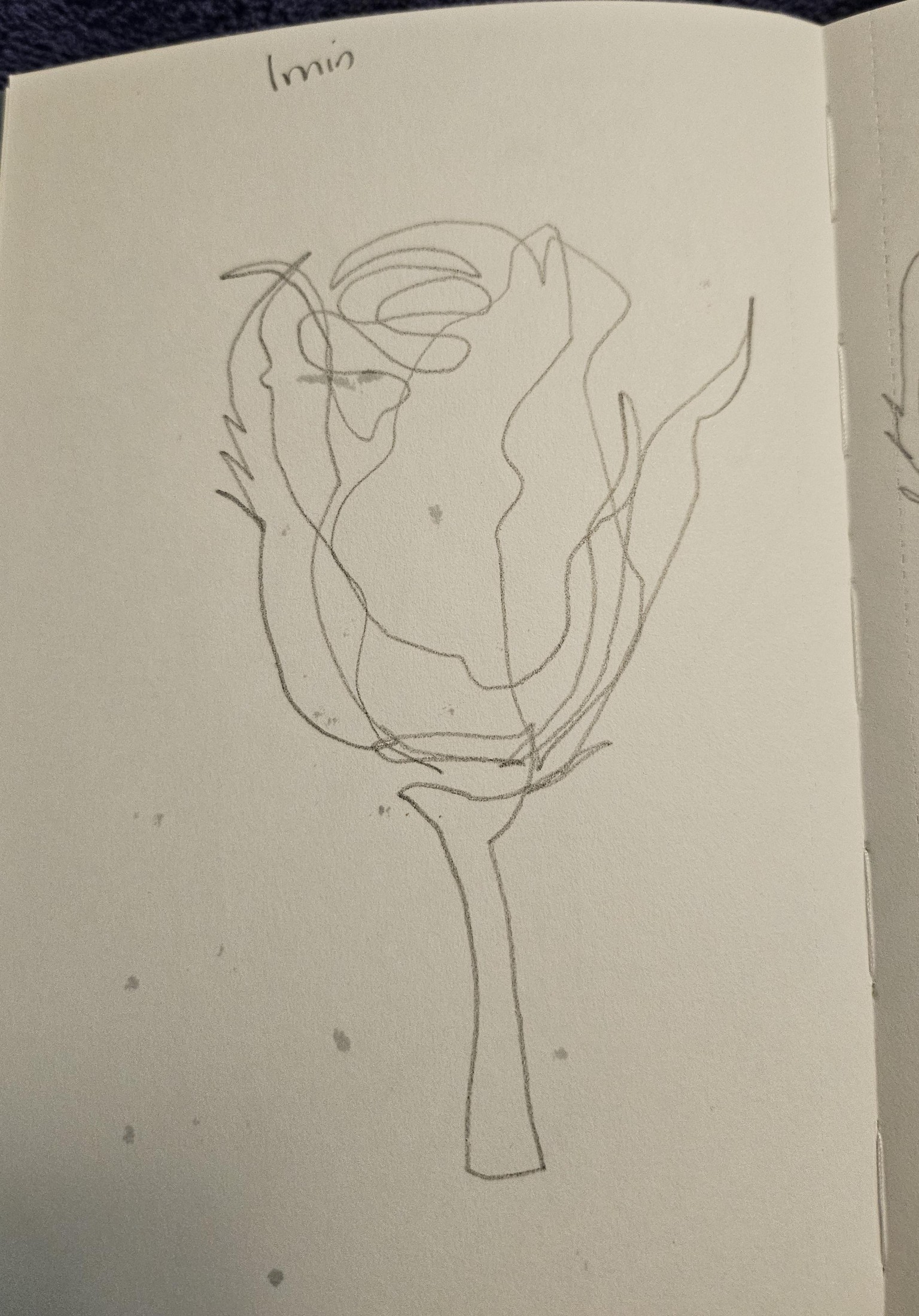 Timed and 360 Sketchbook Fun - image 4 - student project