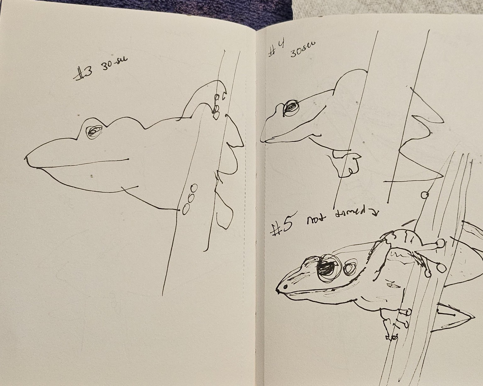 Timed and 360 Sketchbook Fun - image 7 - student project