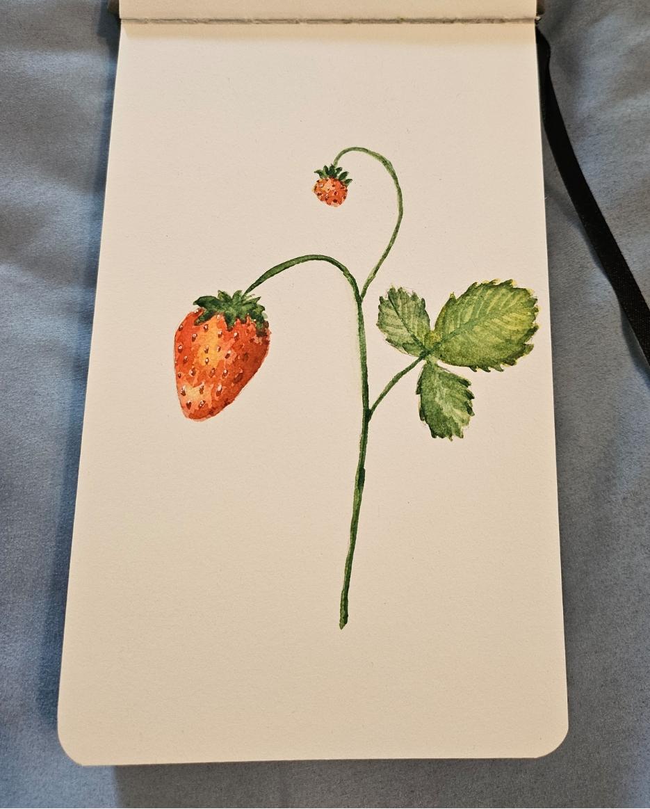 Sweet Strawberries - image 1 - student project