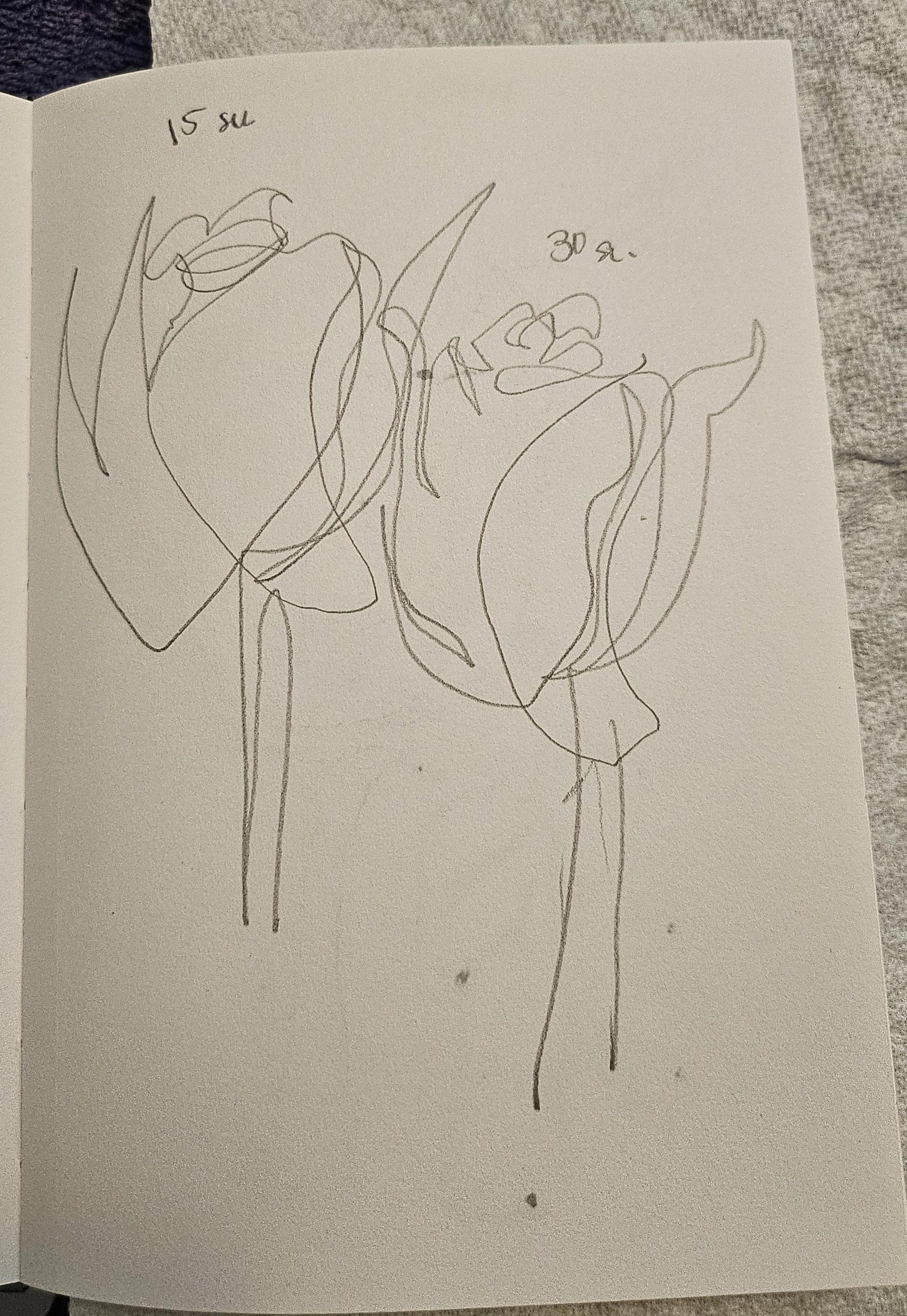 Timed and 360 Sketchbook Fun - image 3 - student project