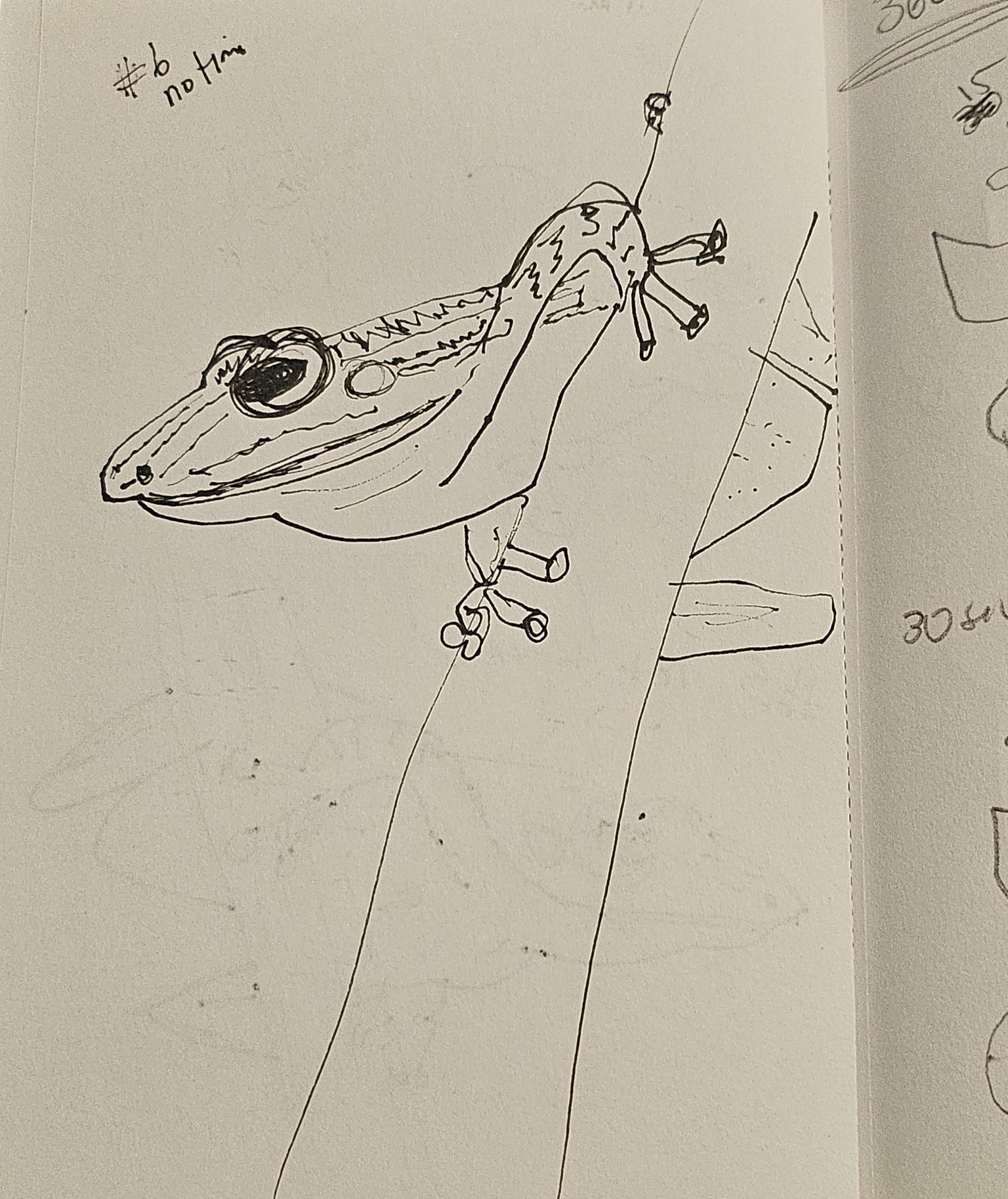 Timed and 360 Sketchbook Fun - image 8 - student project