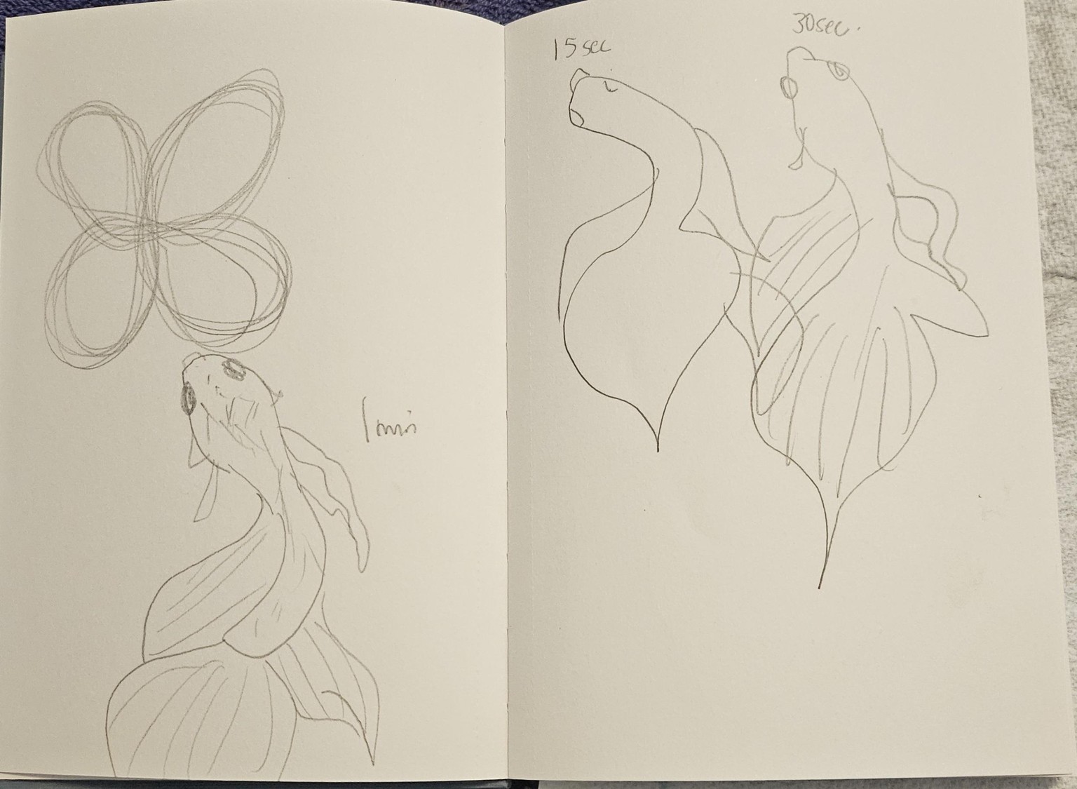 Timed and 360 Sketchbook Fun - image 2 - student project
