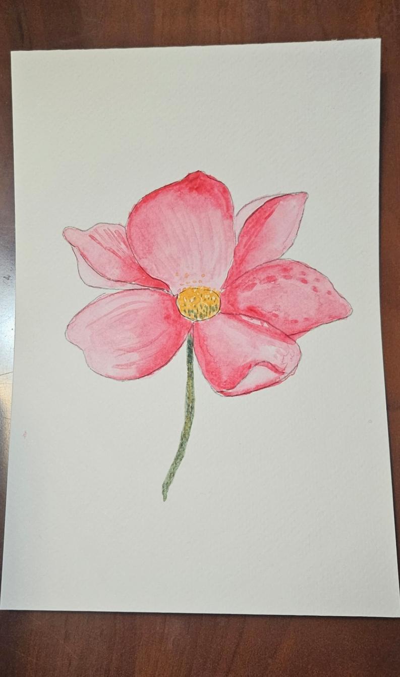 Pretty in Pink - image 1 - student project