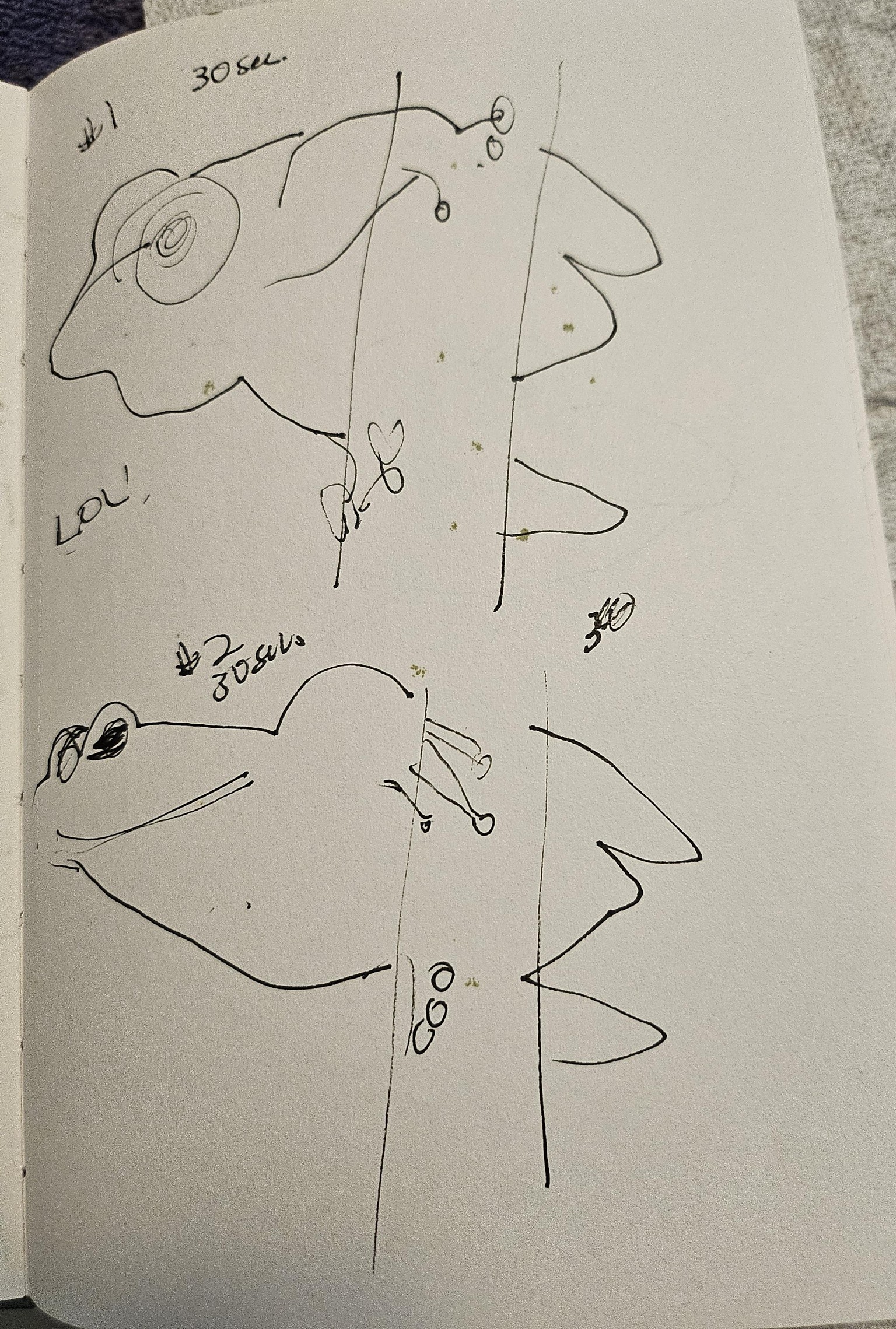 Timed and 360 Sketchbook Fun - image 6 - student project