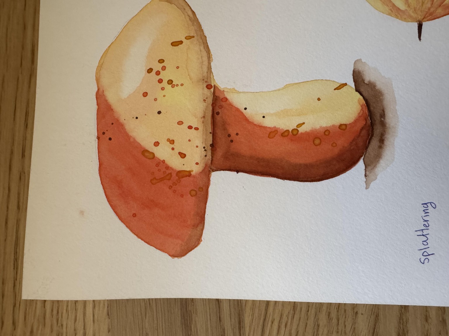 Amazing Course - image 4 - student project