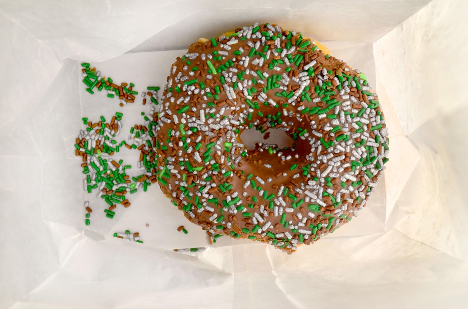 doodles and donuts - image 3 - student project