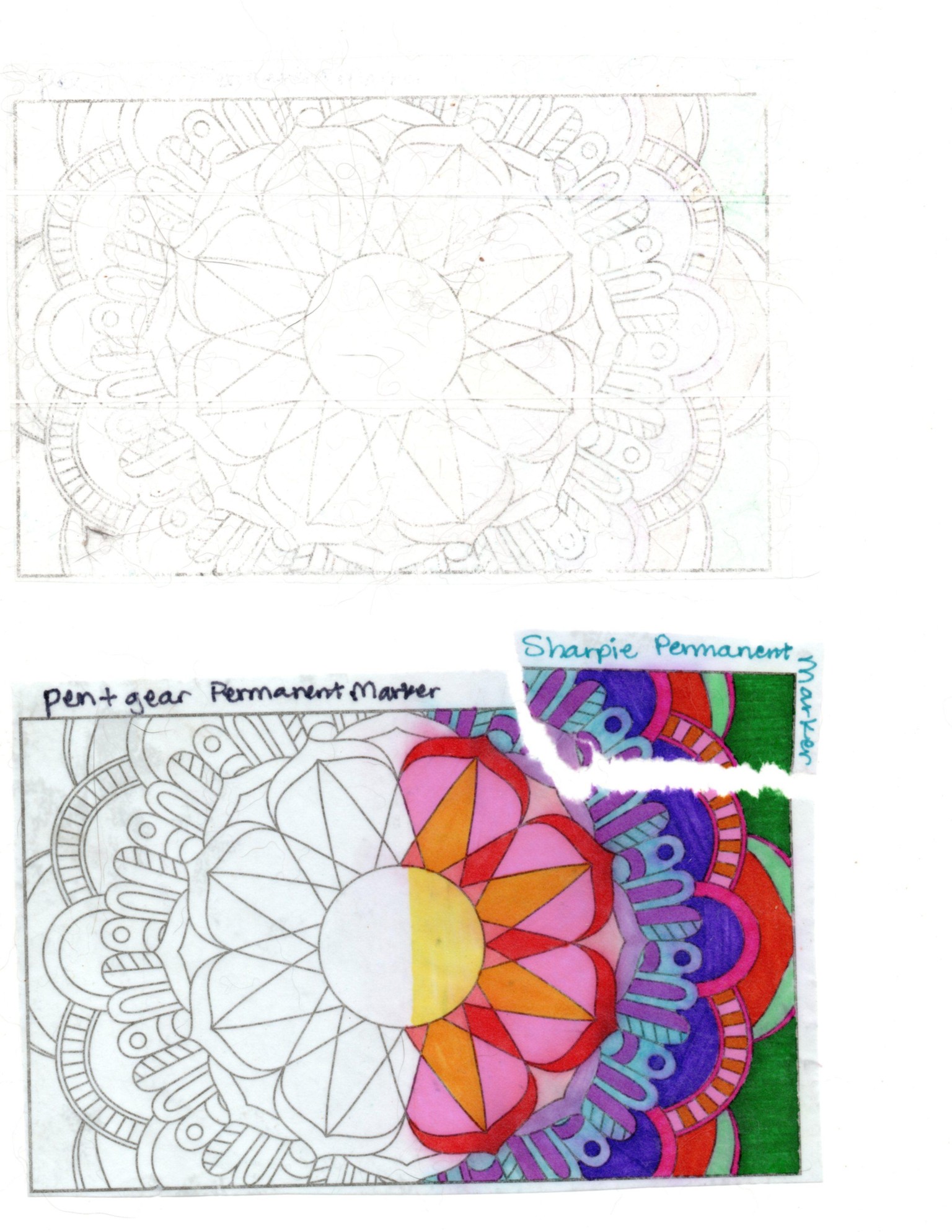 transfer tape (with update) - image 2 - student project