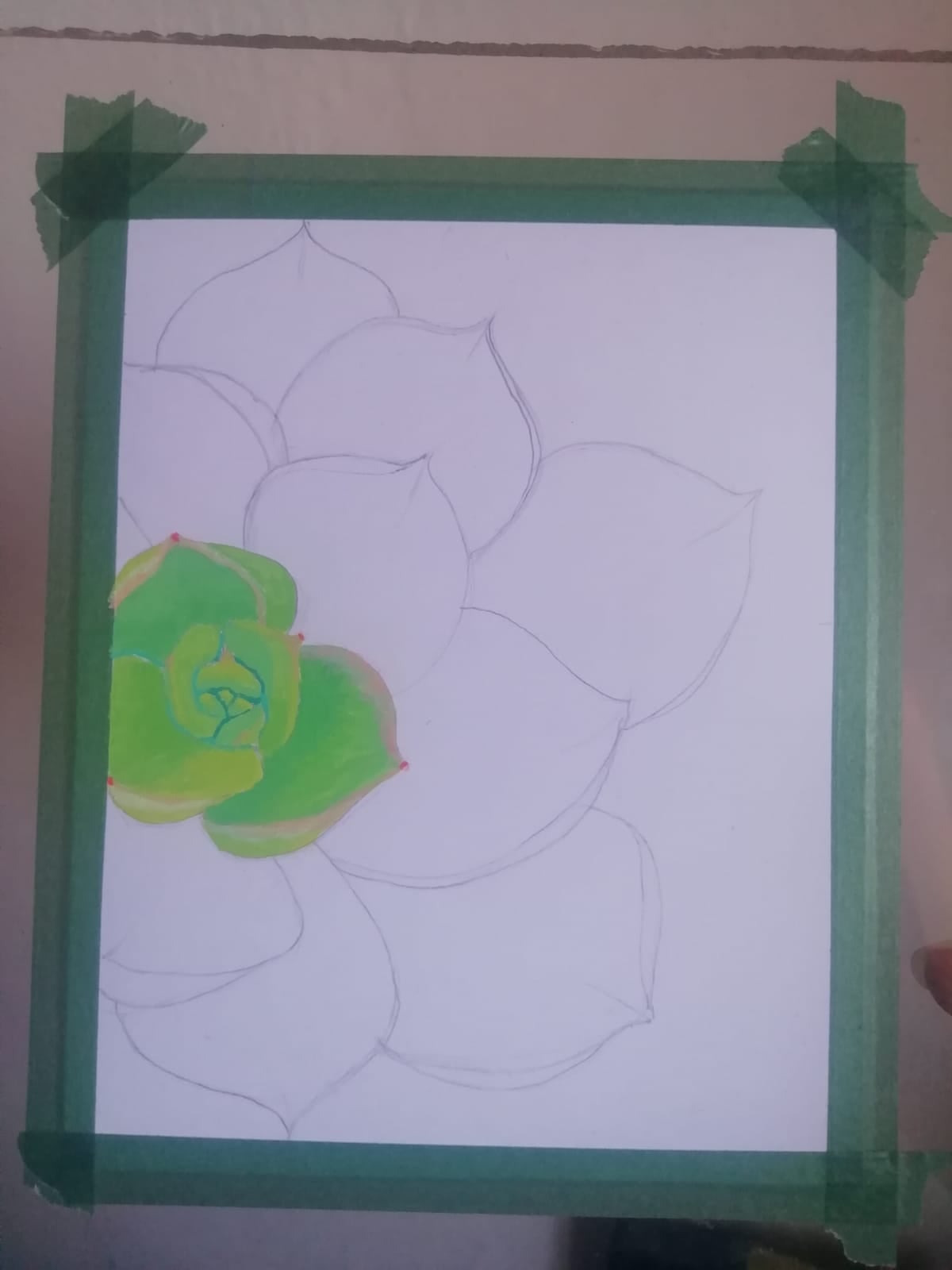 Suculenta en Acrilico - image 3 - student project