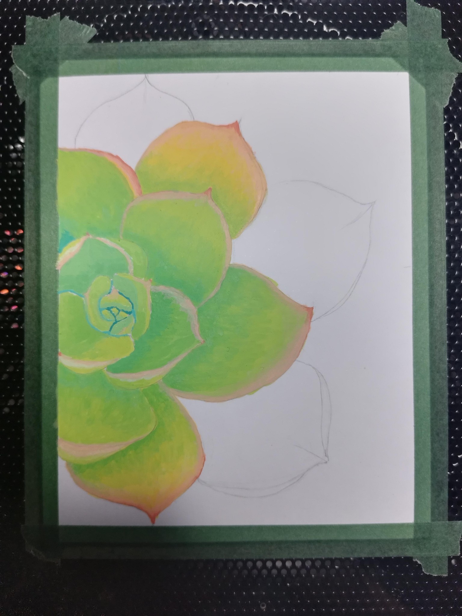 Suculenta en Acrilico - image 4 - student project