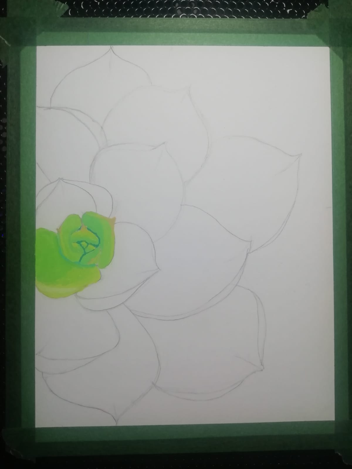 Suculenta en Acrilico - image 2 - student project