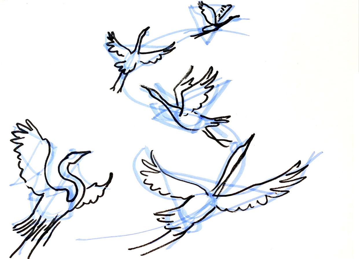 Example project: Herons and fan - image 3 - student project