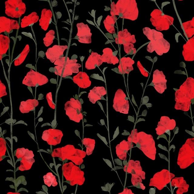 Poppies - image 1 - student project