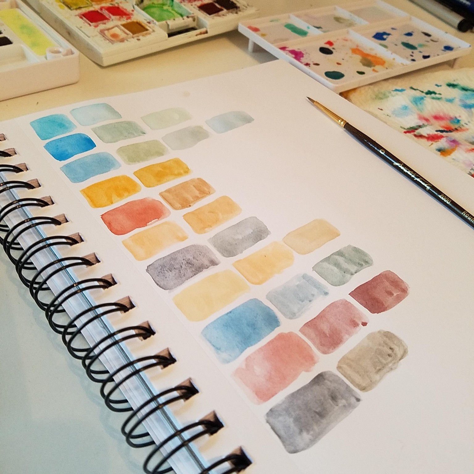 My Oasis Color Palette  - image 2 - student project