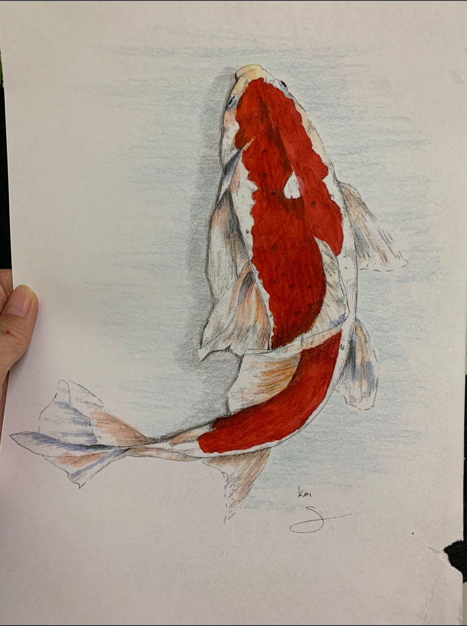 Koi Fish & Gouldian Finch with Sarah Nelson - image 2 - student project