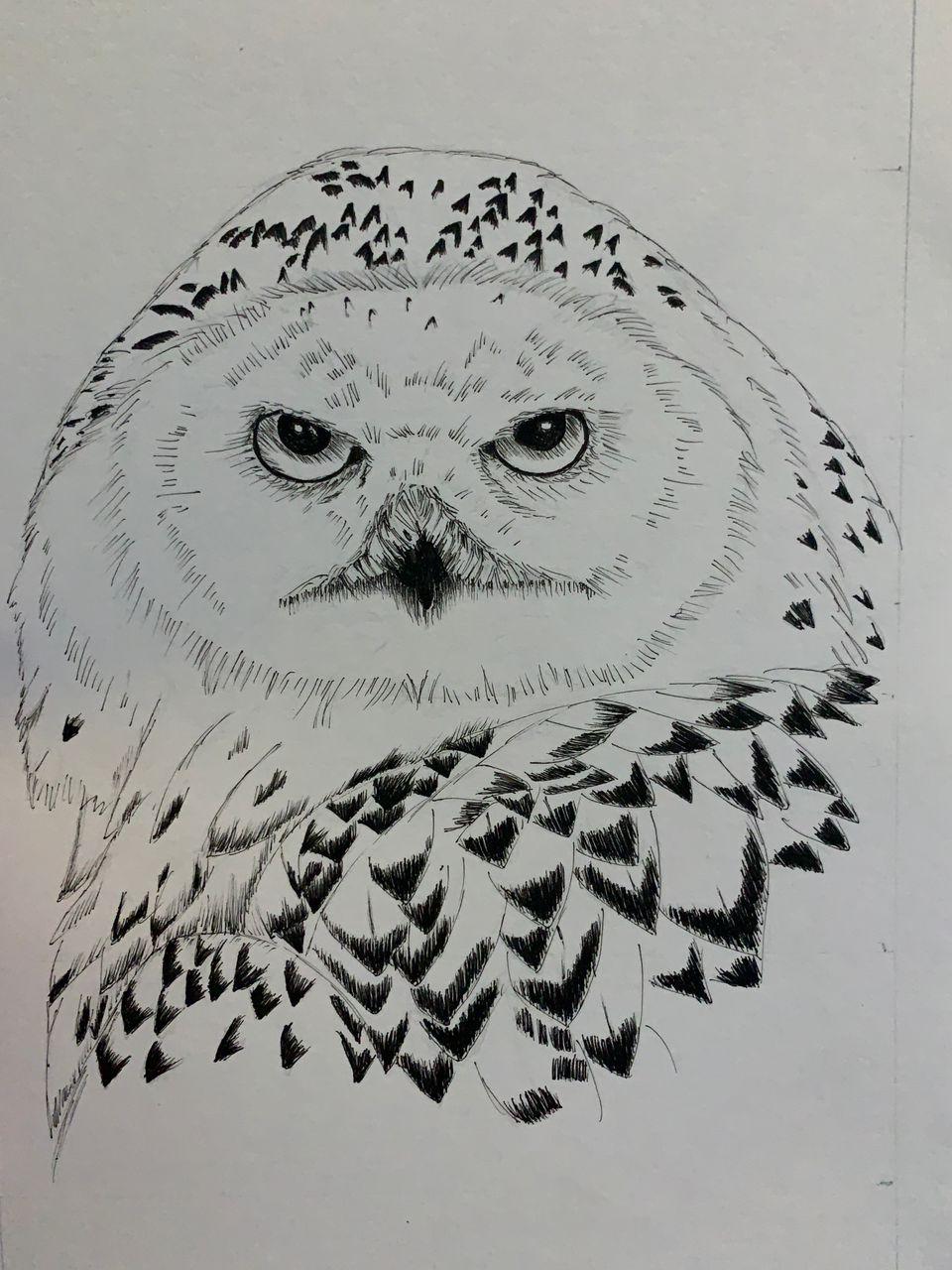 Drawing with Ink with Sarah Nelson - image 4 - student project