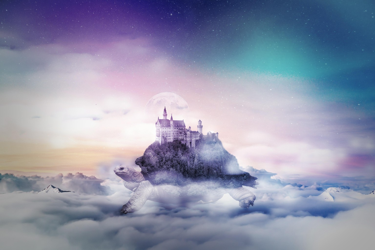Tortoise castle - image 1 - student project