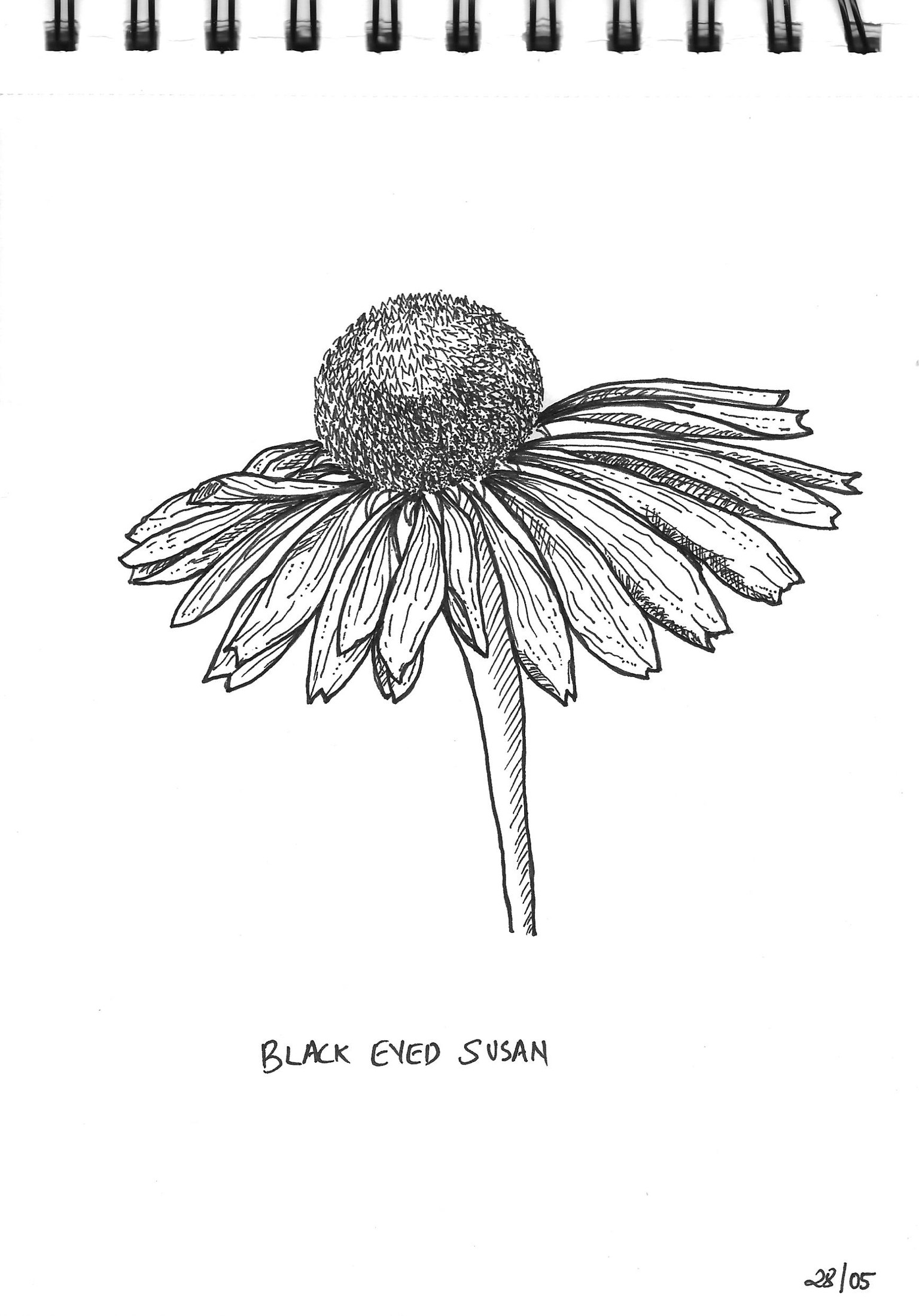 Flowers - image 3 - student project
