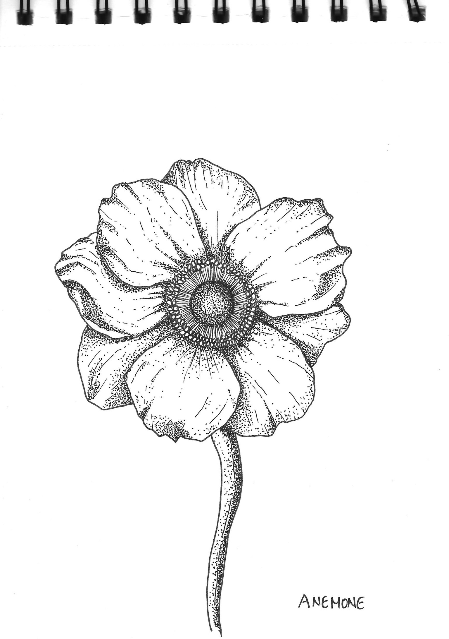 Flowers - image 1 - student project